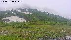 area1-20250611052017.jpg