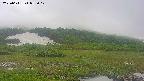 area1-20250611055018.jpg