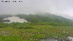 area1-20250611072018.jpg