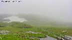 area1-20250611162016.jpg