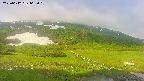 area1-20250612062020.jpg