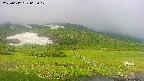area1-20250612065018.jpg