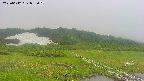 area1-20250612082019.jpg