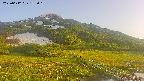 area1-20250612182017.jpg