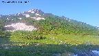 area1-20250613054017.jpg