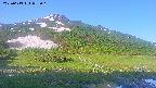 area1-20250613055017.jpg