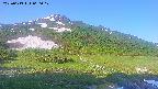 area1-20250613060018.jpg