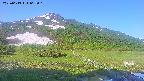 area1-20250613062020.jpg