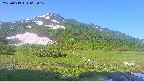 area1-20250613063018.jpg