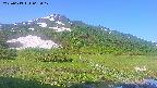 area1-20250613065018.jpg