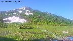 area1-20250613070018.jpg
