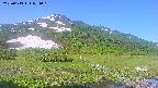 area1-20250613071019.jpg