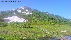 area1-20250613072016.jpg
