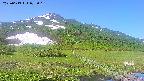 area1-20250613073016.jpg