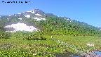 area1-20250613074020.jpg