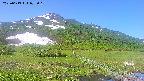 area1-20250613075018.jpg