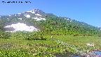area1-20250613080018.jpg