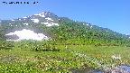 area1-20250613083016.jpg