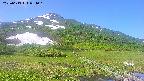 area1-20250613084019.jpg