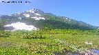 area1-20250613085018.jpg