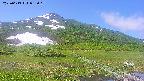 area1-20250613092020.jpg