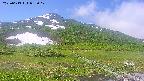area1-20250613093018.jpg