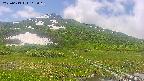area1-20250613112017.jpg
