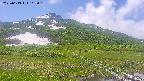area1-20250613113018.jpg
