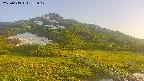 area1-20250613182019.jpg