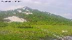 area1-20250614061016.jpg