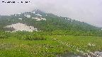 area1-20250614074017.jpg