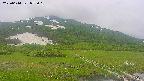 area1-20250614075019.jpg