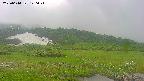 area1-20250614120016.jpg