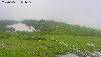 area1-20250615091018.jpg
