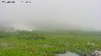 area1-20250615112017.jpg