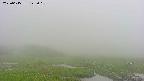 area1-20250615122018.jpg