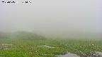 area1-20250615124018.jpg
