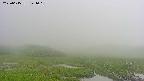 area1-20250615141016.jpg