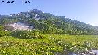 area1-20250615172019.jpg
