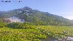 area1-20250615175018.jpg