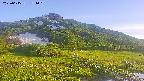 area1-20250615181019.jpg