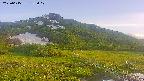 area1-20250615182018.jpg