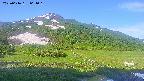 area1-20250616061017.jpg