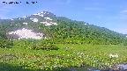 area1-20250616070019.jpg