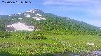 area1-20250616071018.jpg