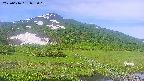 area1-20250616072017.jpg
