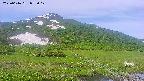 area1-20250616073019.jpg