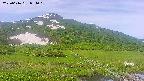 area1-20250616074019.jpg