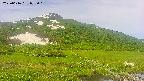 area1-20250616075019.jpg