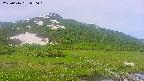 area1-20250616080020.jpg